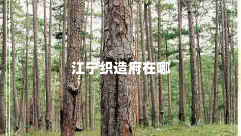 江寧織造府在哪 江寧織造府在哪