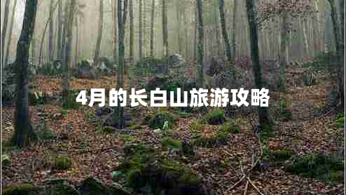 4月的長白山旅游攻略