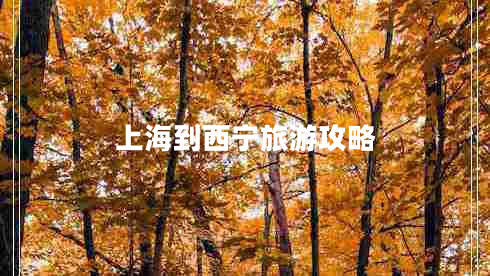 上海到西寧旅游攻略 上海到西寧旅游攻略