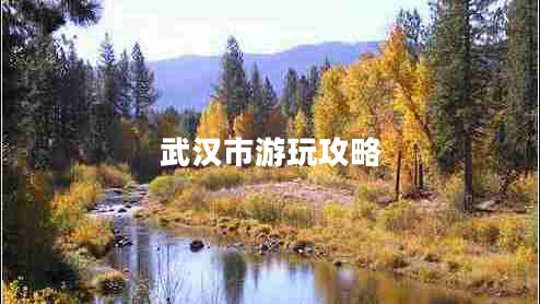 武漢市游玩攻略