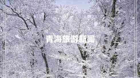 青海旅游新聞