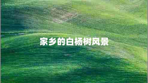家鄉(xiāng)的白楊樹(shù)風(fēng)景