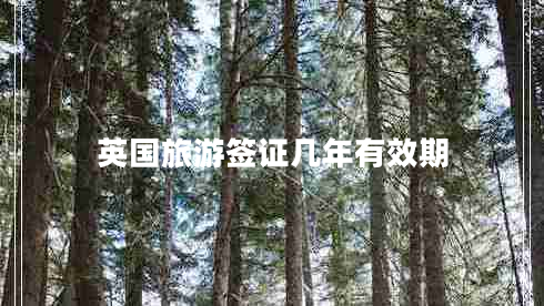 英國旅游簽證幾年有效期