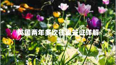英國(guó)兩年多次往返簽證詳解
