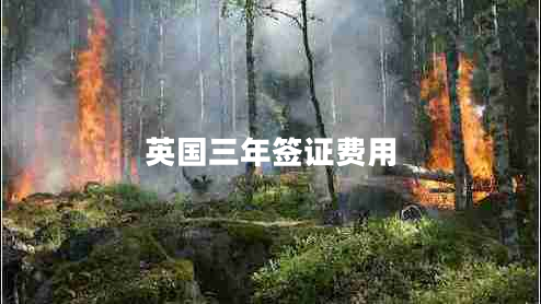 英國三年簽證費(fèi)用 英國三年簽證費(fèi)用