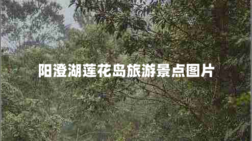 陽澄湖蓮花島旅游景點圖片