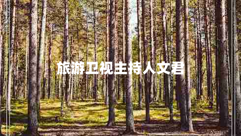 旅游衛(wèi)視主持人文君