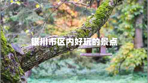 銀川市區(qū)內(nèi)好玩的景點(diǎn) 銀川市區(qū)內(nèi)好玩的景點(diǎn)