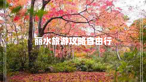 麗水旅游攻略自由行