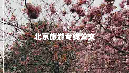 北京旅游專線公交 北京旅游專線公交