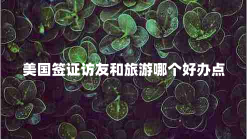 美國(guó)簽證訪友和旅游哪個(gè)好辦點(diǎn)