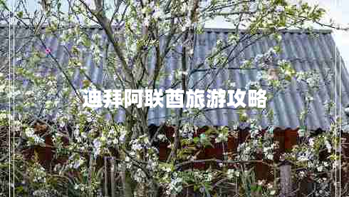 迪拜阿聯(lián)酋旅游攻略