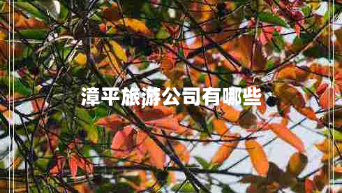 漳平旅游公司有哪些 漳平旅游公司有哪些