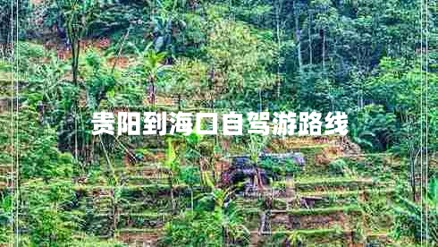 貴陽到?？谧择{游路線