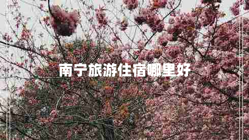 南寧旅游住宿哪里好