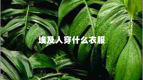 埃及人穿什么衣服