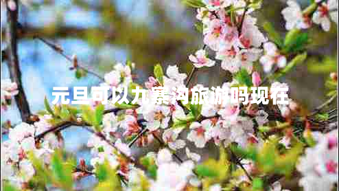 元旦可以九寨溝旅游嗎現(xiàn)在