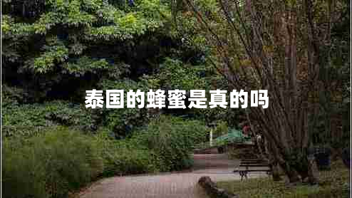 泰國的蜂蜜是真的嗎