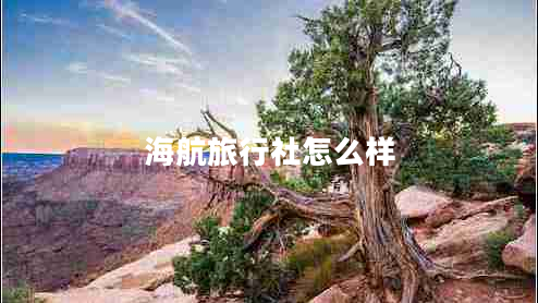 海航旅行社怎么樣