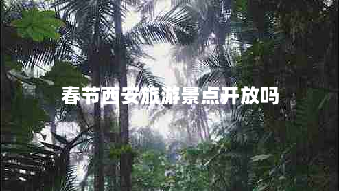 春節(jié)西安旅游景點開放嗎