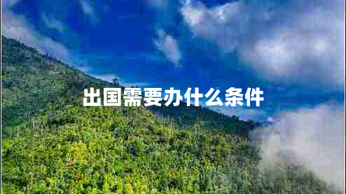 出國需要辦什么條件