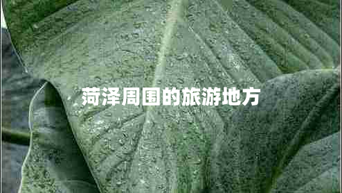 菏澤周?chē)穆糜蔚胤? title=