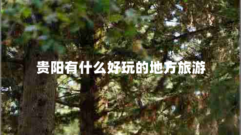 貴陽(yáng)有什么好玩的地方旅游 貴陽(yáng)有什么好玩的地方旅游