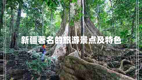 新疆著名的旅游景點(diǎn)及特色