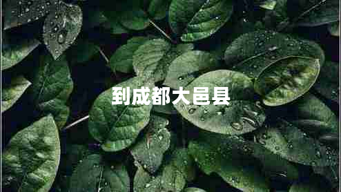 到成都大邑縣 到成都大邑縣