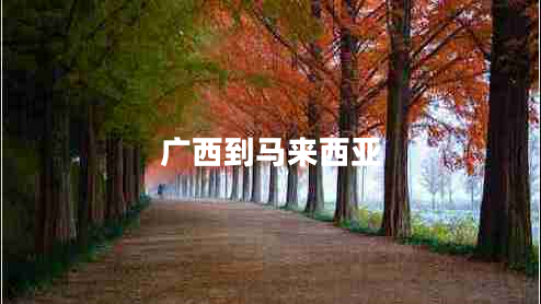 廣西到馬來西亞