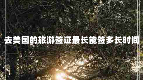 去美國(guó)的旅游簽證最長(zhǎng)能簽多長(zhǎng)時(shí)間