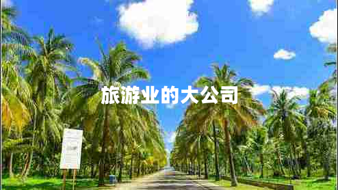 旅游業(yè)的大公司 旅游業(yè)的大公司