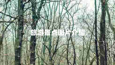 旅游景點(diǎn)圖片介紹