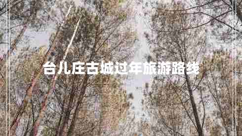 臺兒莊古城過年旅游路線 臺兒莊古城過年旅游路線