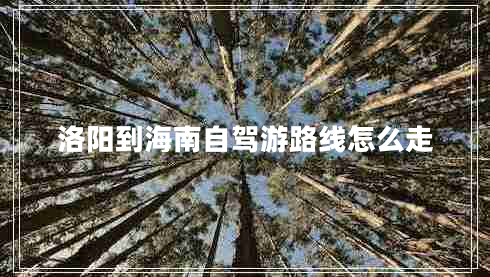 洛陽(yáng)到海南自駕游路線怎么走