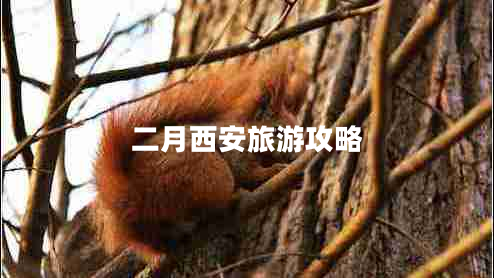 二月西安旅游攻略 二月西安旅游攻略