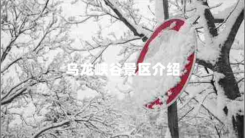 烏龍峽谷景區(qū)介紹 烏龍峽谷景區(qū)介紹