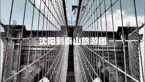 沈陽(yáng)到泰山旅游團(tuán)