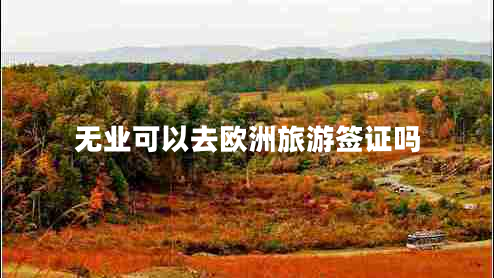 無(wú)業(yè)可以去歐洲旅游簽證嗎