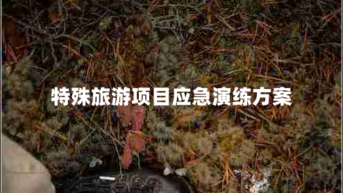 特殊旅游項(xiàng)目應(yīng)急演練方案