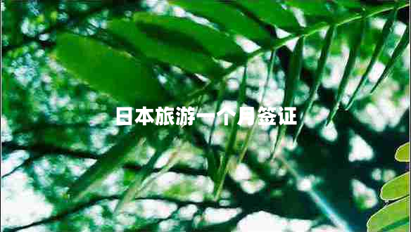 日本旅游一個月簽證 日本旅游一個月簽證
