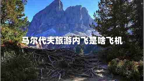 馬爾代夫旅游內(nèi)飛是啥飛機(jī)