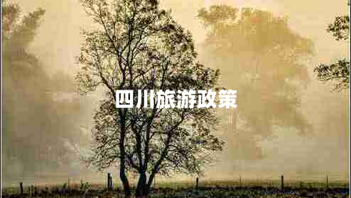 四川旅游政策 四川旅游政策