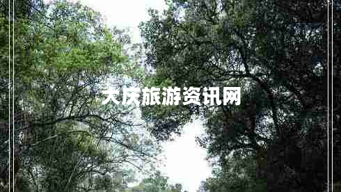大慶旅游資訊網(wǎng)
