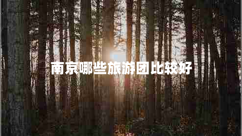 南京哪些旅游團比較好