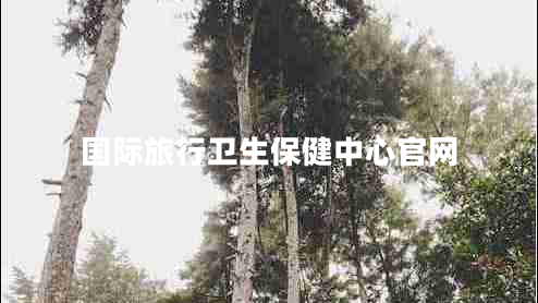 國際旅行衛(wèi)生保健中心官網(wǎng)