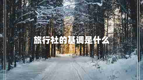 旅行社的基調(diào)是什么