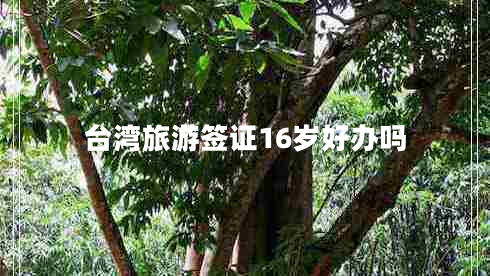 臺灣旅游簽證16歲好辦嗎