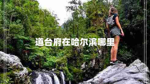 道臺府在哈爾濱哪里