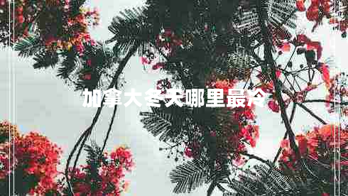 加拿大冬天哪里最冷